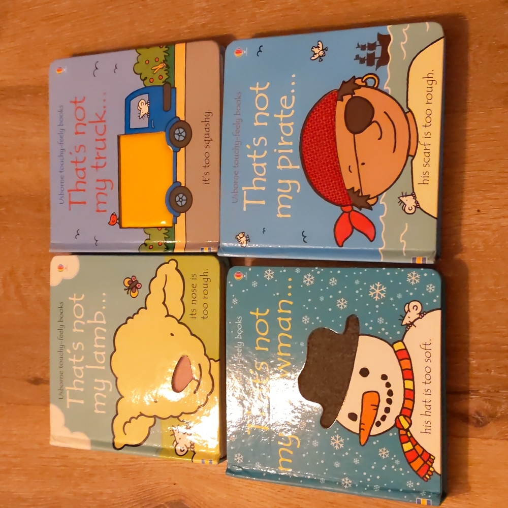 Set of Usborne books